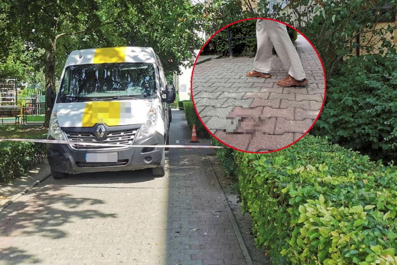 TRAGEDIA W LUBLINIE Seniorka potrącona przez kuriera nie żyje. Zginęła, bo chciała uratować swojego psa?