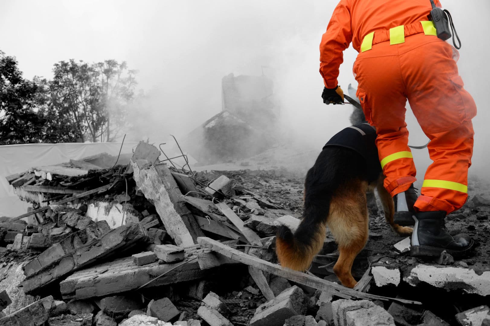 Tragiczne trzęsienie ziemi w Wenezueli. Liczba ofiar przekroczyła 5 tysięcy