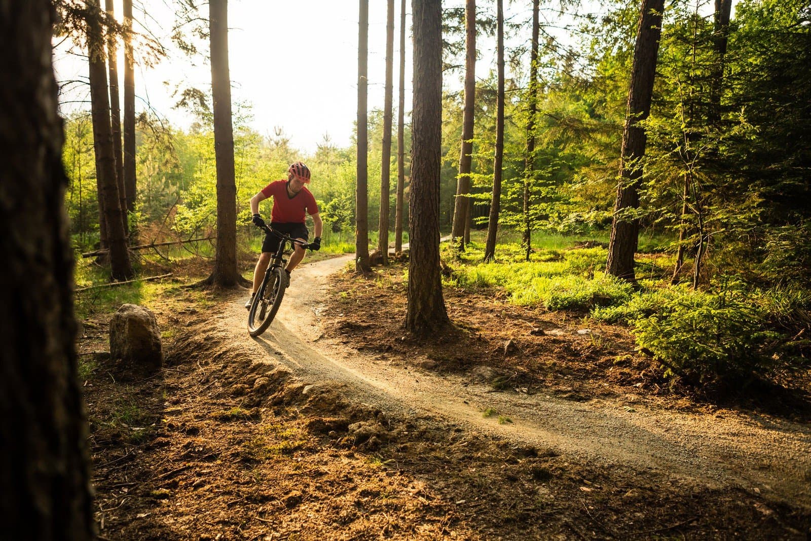 Trasy rowerowe na weekend w okolicy Sztumu