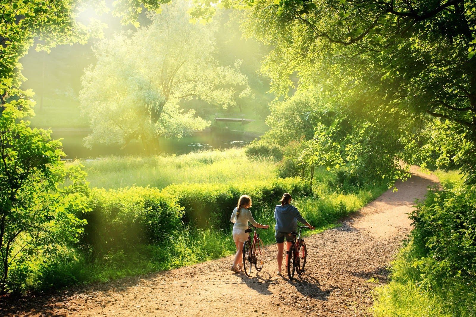 Trasy rowerowe na weekend w okolicy Tczewa