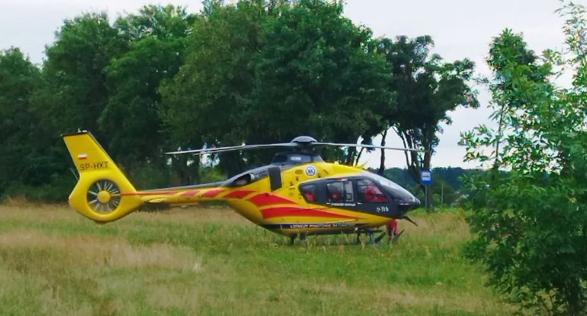 Tygodniowy raport strażaków: zdarzenia na drogach i w gospodarstwie