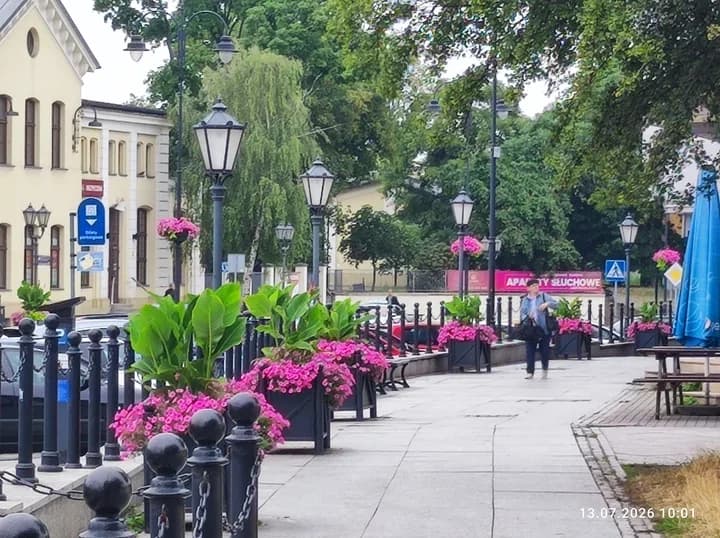 Tysiące krzewów, nowe drzewa i kwiaty na całe lato w Piotrkowie