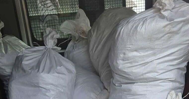 tytoń Policjanci zabezpieczyli 345 kg krajanki tytoniowej Dziś - KMP Płock