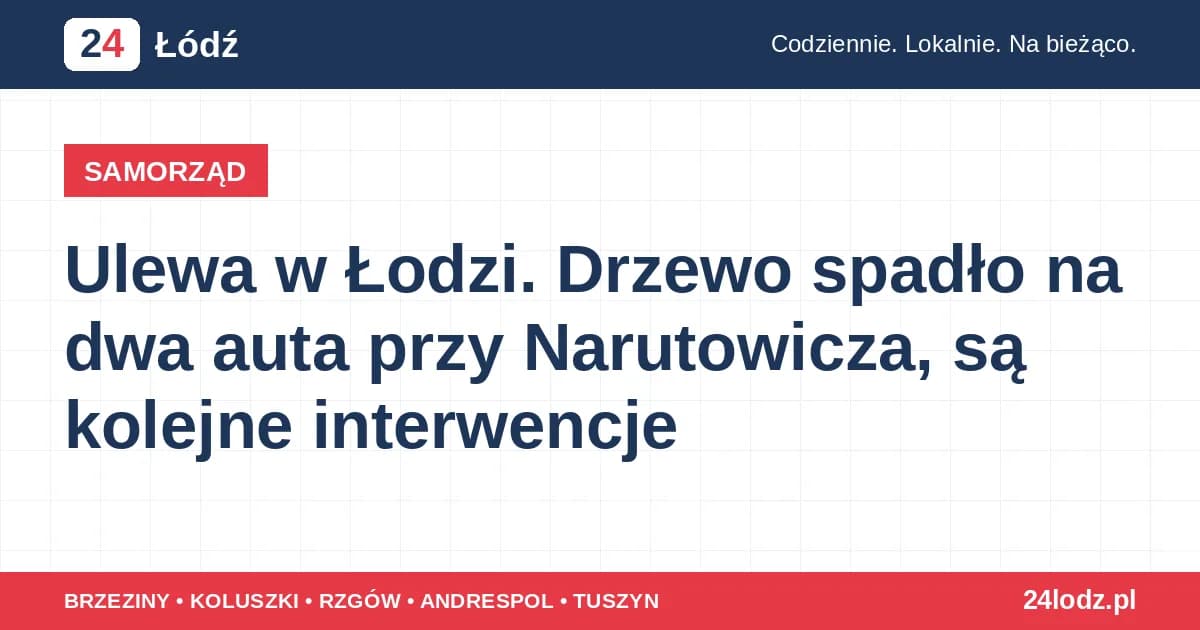 Ulewa w Łodzi. Drzewo spadło na dwa auta przy Narutowicza, są kolejne interwencje