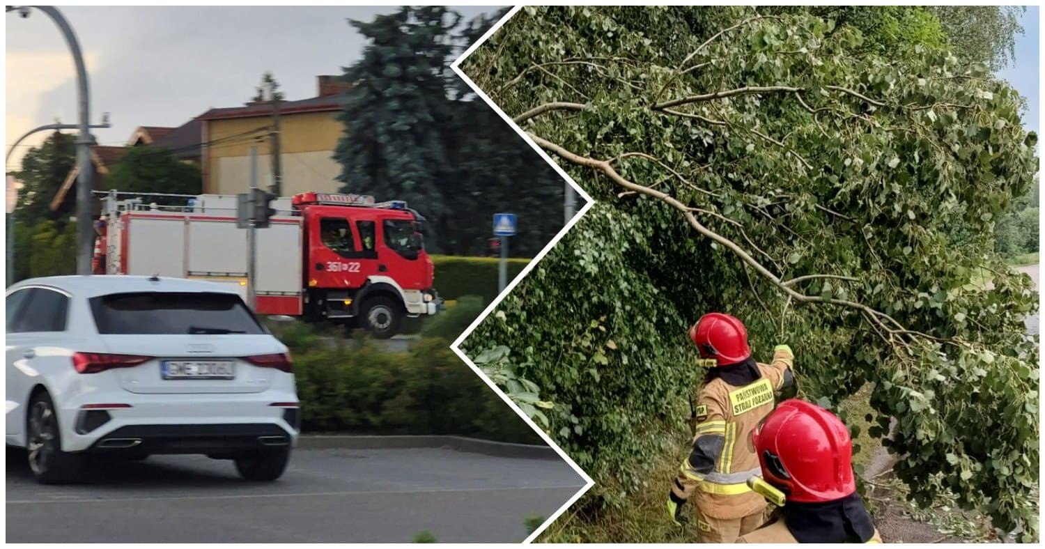 Uszkodzone auta, powalone drzewa, zerwane dachy. Skutki burzy nad Tarnowem i regionem