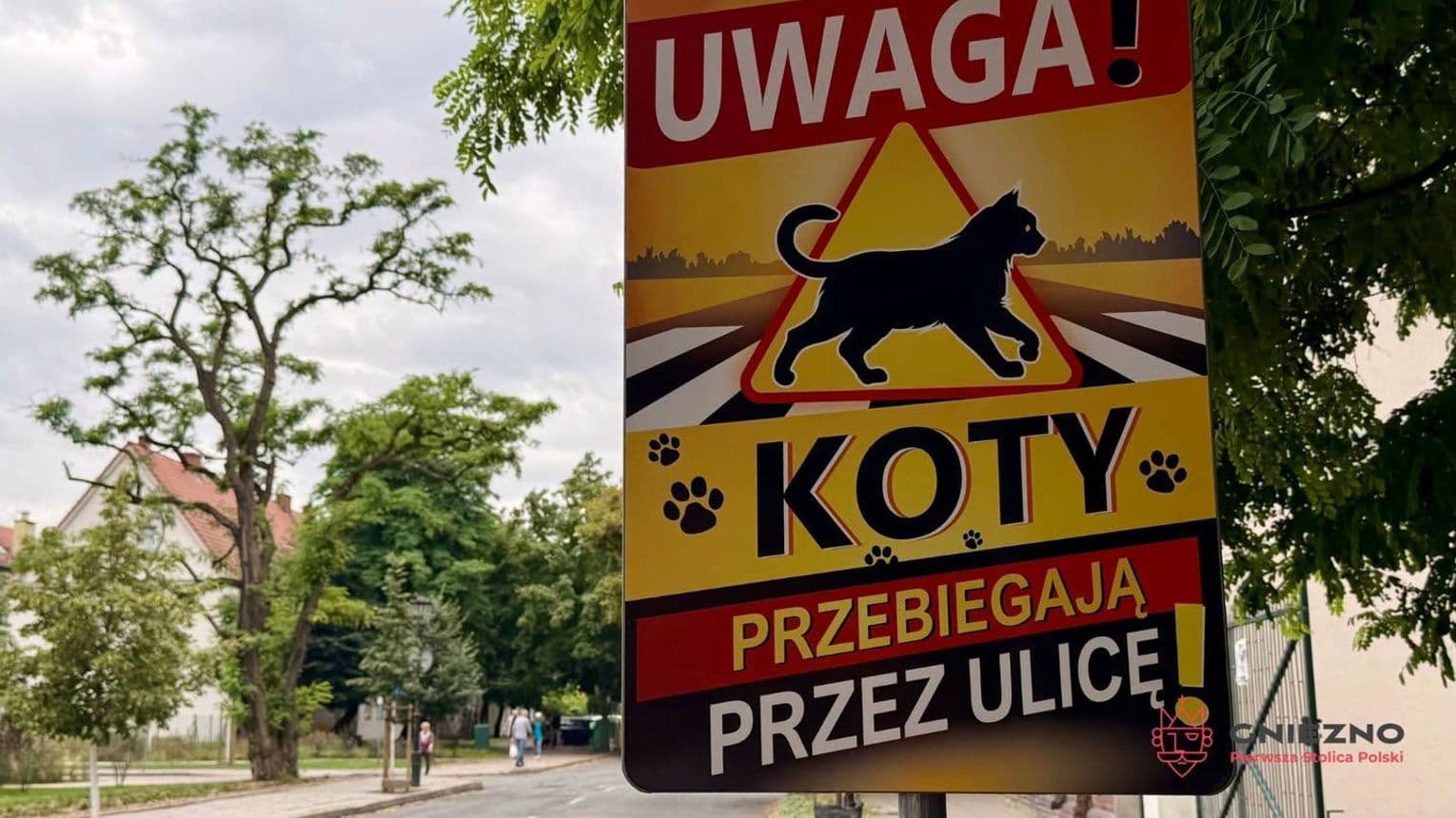 Uwaga koty! Nowe oznakowanie na ulicach Gniezna