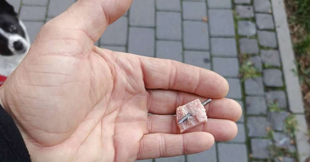 Uważajcie na swoje czworonogi. Na Halembie ktoś rozrzuca kawałki kiełbasy z gwoździami!