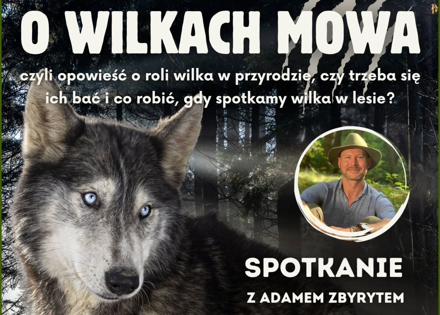 W Charzykowach będzie spotkanie z przyrodnikiem nt. wilków