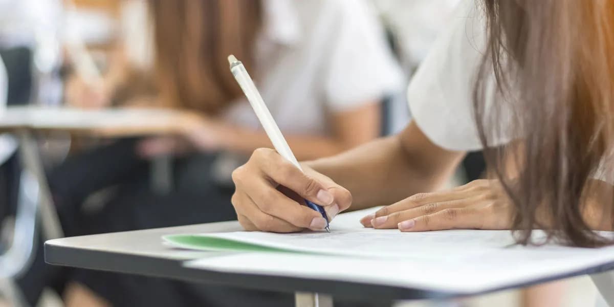 W gminach uczą jako tako – wyniki wszystkich szkół podstawowych