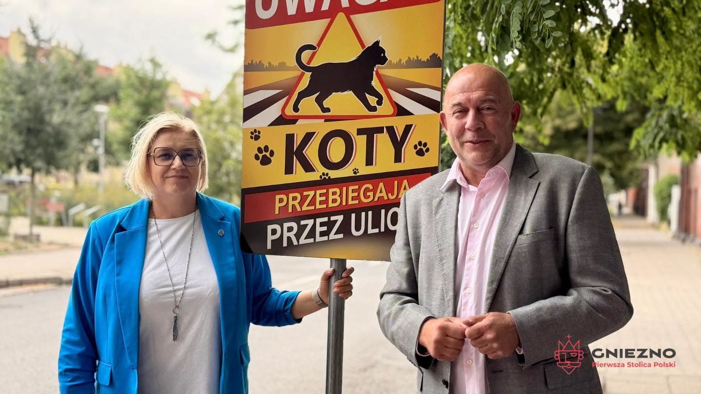 W Gnieźnie pojawiły się tabliczki ostrzegające przed kotami na jezdni