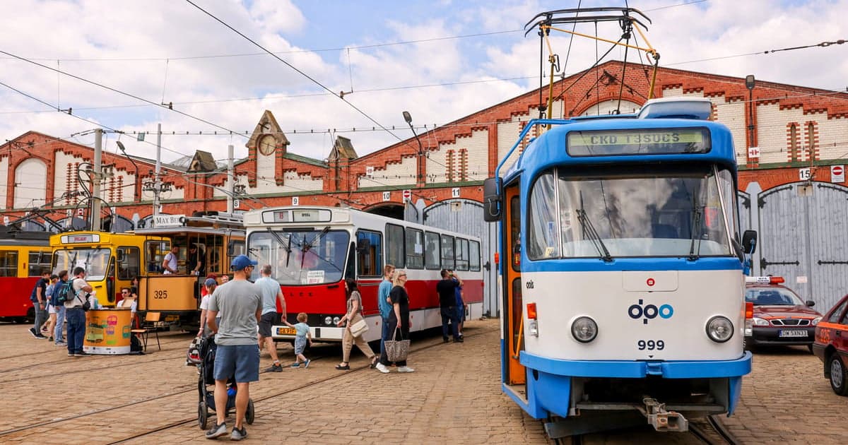 Wakacje z MPK Wrocław. Są jeszcze miejsca na bezpłatne wycieczki dla dzieci