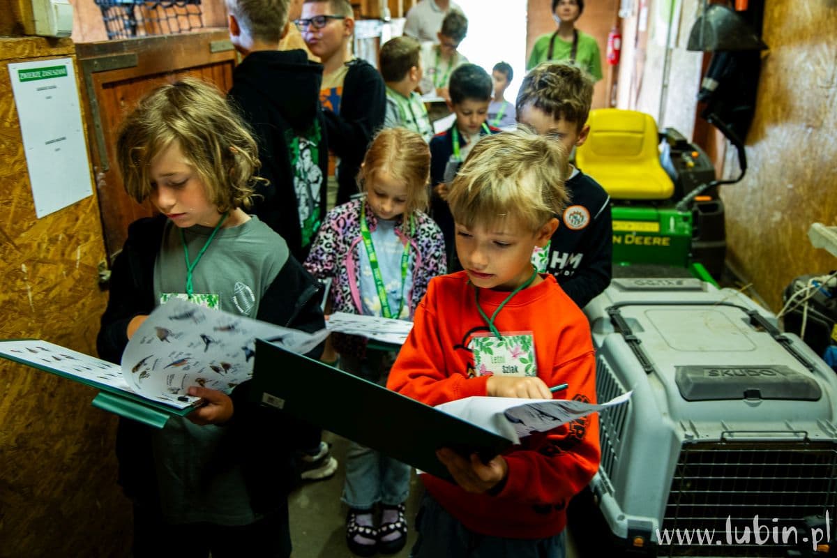 Wakacyjne zajęcia w zoo – wciąż można się zapisać