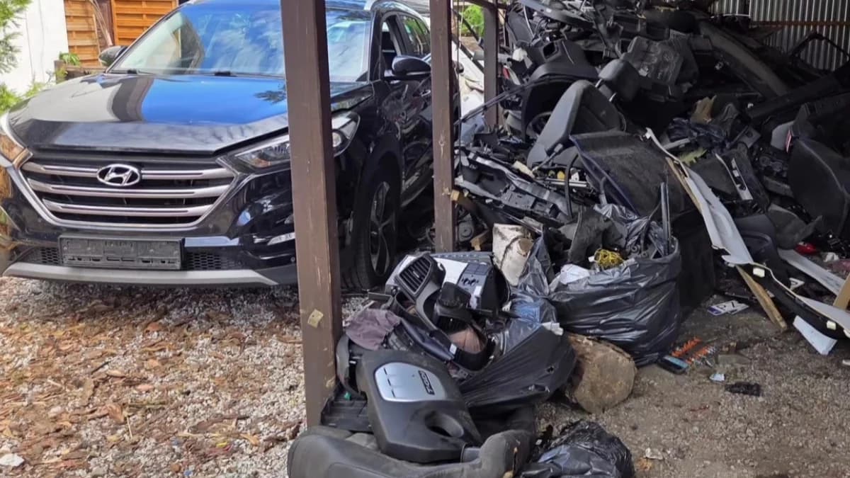 WiadomościKradli w Berlinie, rozbierali pod Poznaniem Policja rozbiła samochodową dziuplę
