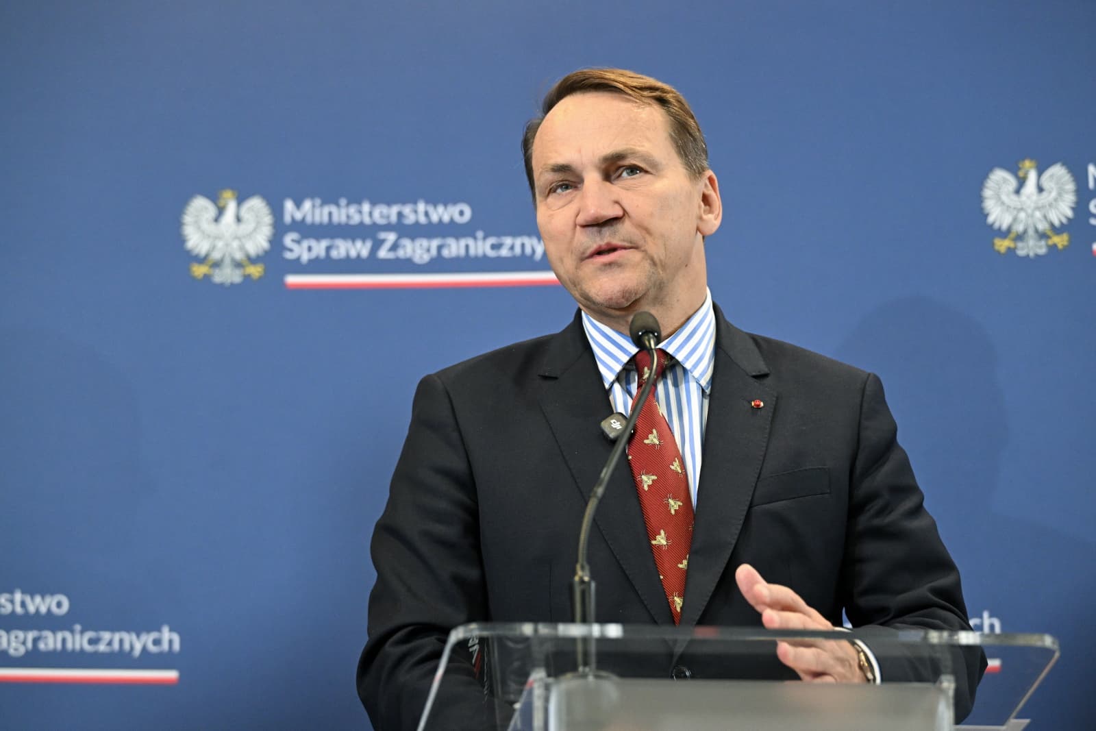 Wicepremier Radosław Sikorski w opublikowanym w niedzielę (12.07.) wywiadzie ocenił, że przywódca Rosji Władimir Putin nie ma środków, by nas zaatakować, najwyżej może spróbować dokonać jakiejś prowokacji.