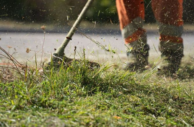 Widok po koszeniu często jest gorszy niż przed nim