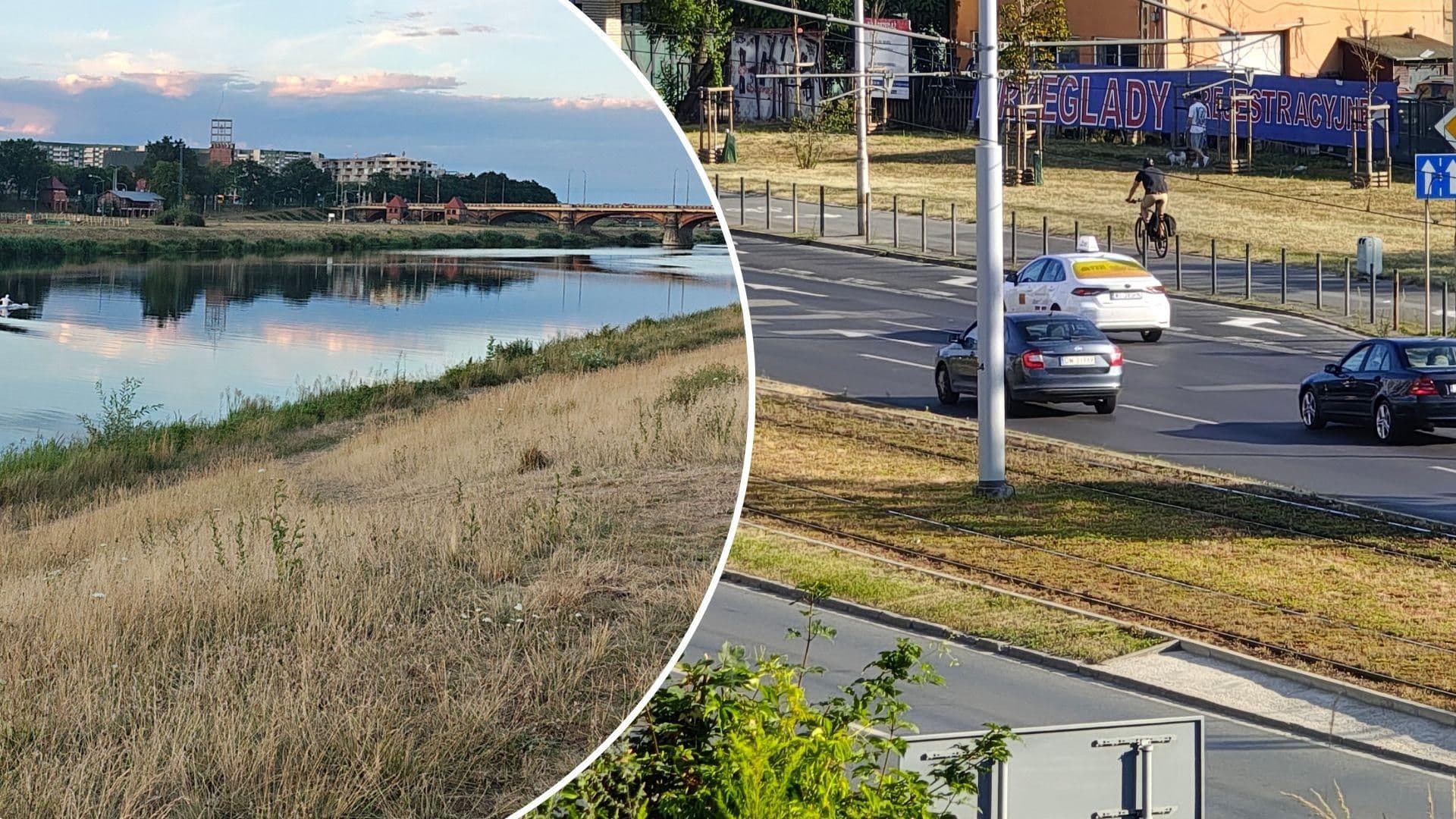 Wrocław usycha. Tak dziś wyglądają osiedla i parki