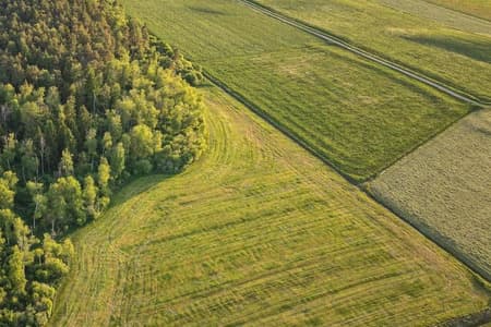 Wsparcie na zalesianie gruntów. Można jeszcze składać wnioski