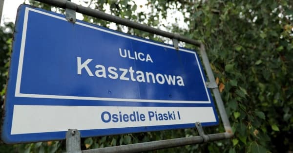 Wybrali wykonawcę oświetlenia przy Kasztanowej