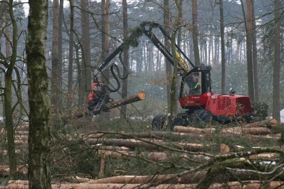 Wycinki na terenie gminy Goleniów za pół roku? Jest pozwolenie na drążenie tunelu pod Odrą