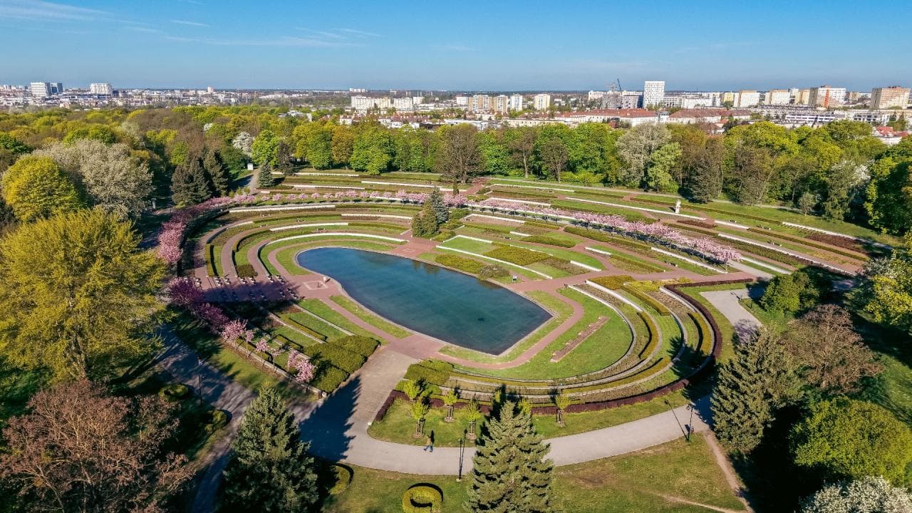 Wyjątkowa okazja na taki spacer po największym poznańskim parku. Z przewodnikiem