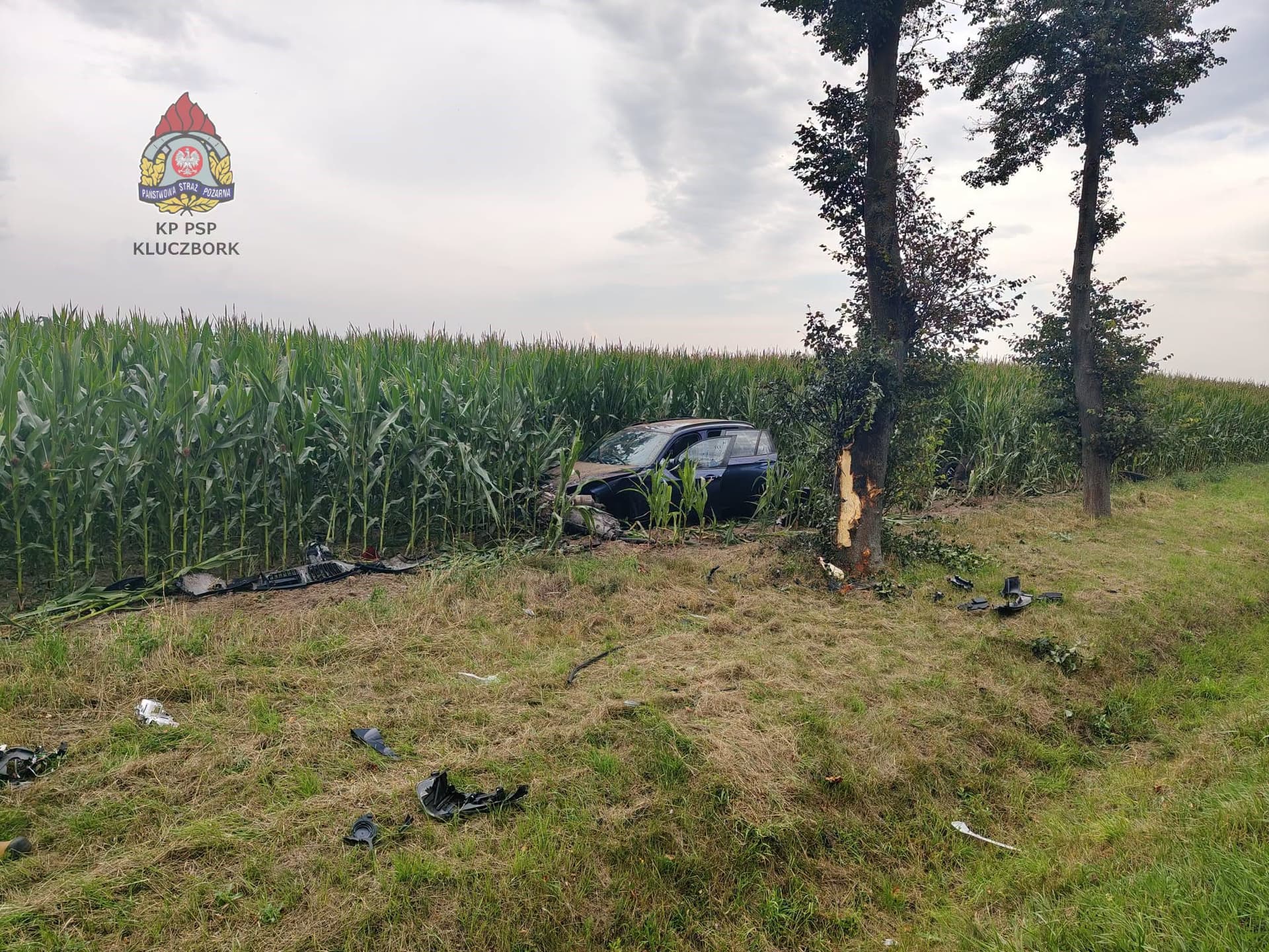 Wypadek na DK11. Samochód uderzył w drzewo, zatrzymał się w kukurydzy