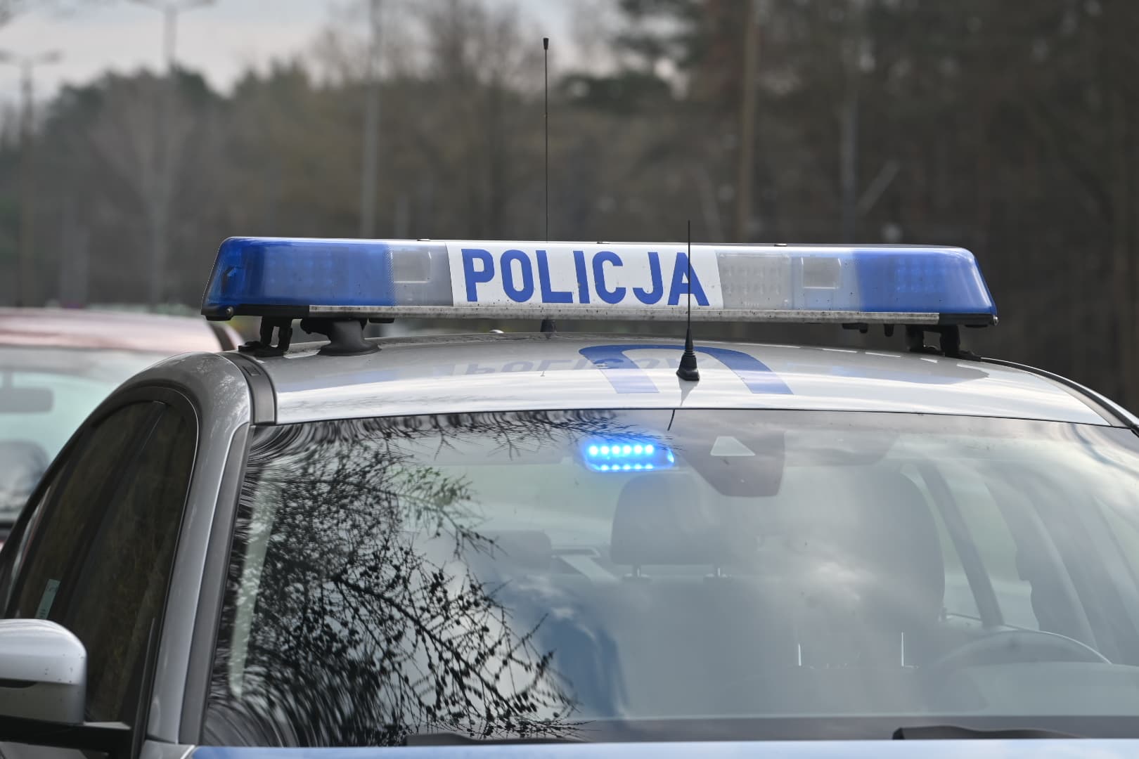 Zabił chronionego jastrzębia. 62-latek usłyszał zarzuty