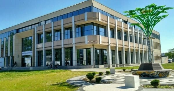 Zaczytają się w zieleni. Biblioteka w Stalowej Woli zmieni swój hol