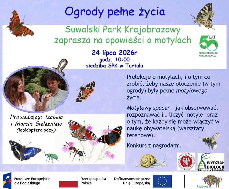 Zanurz się w fascynującym świecie motyli!