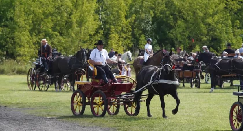 Zbliżają się V Amatorskie Zawody w Powożeniu Zaprzęgami Konnymi w Czyżewie. Zapisy nadal trwają