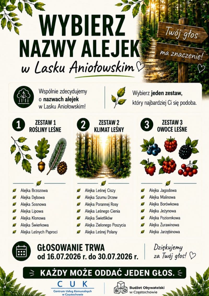 Zdecydujmy, jak nazwać alejki w Lasku Aniołowskim