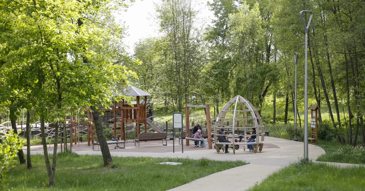 Zielone zmiany w Katowicach. Powstaną nowe nasadzenia, ogród sensoryczny i altana szachowa
