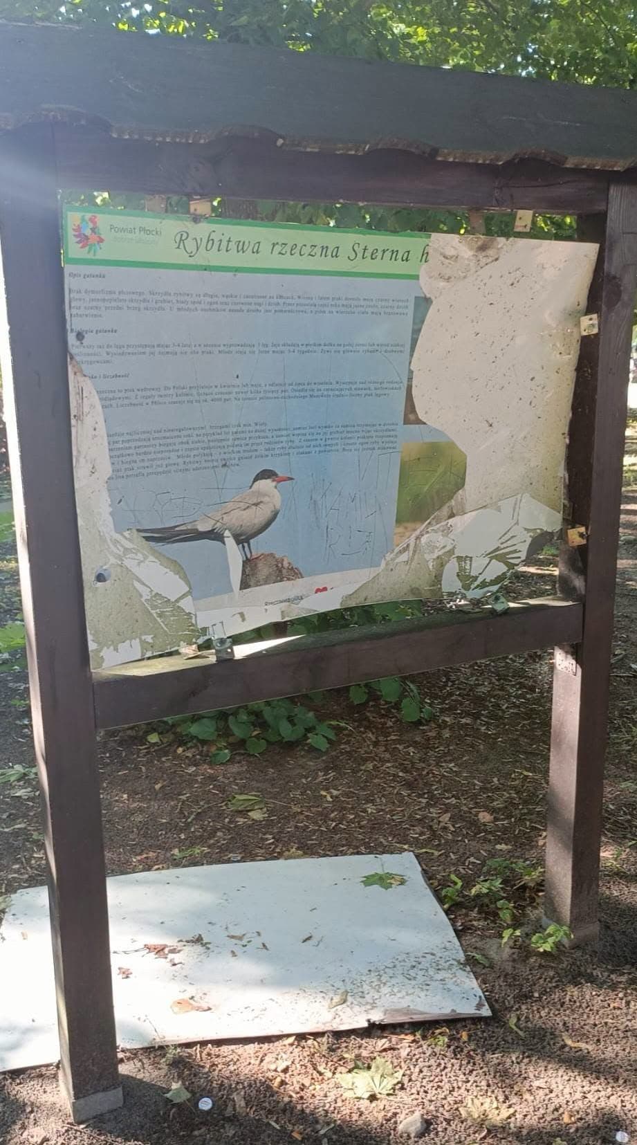 Zniszczone tablice, wiaty – wandale “bawią się” w najlepsze