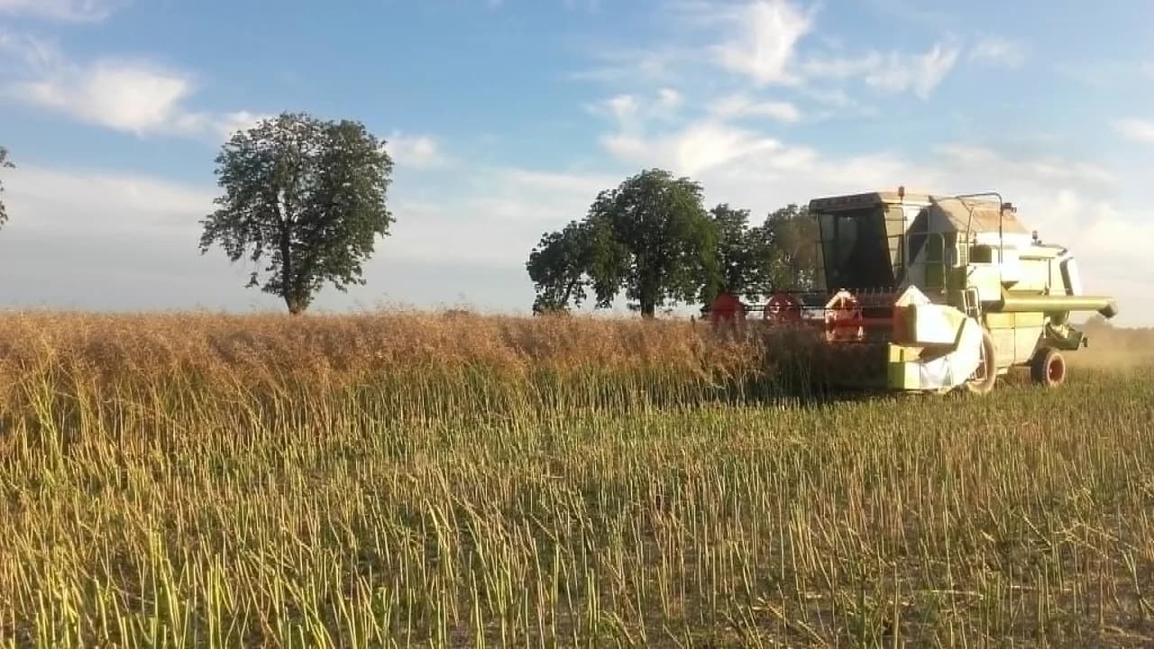 Żniwa ruszają. Jeden błąd może kosztować życie. Jest apel do rolników i kierowców