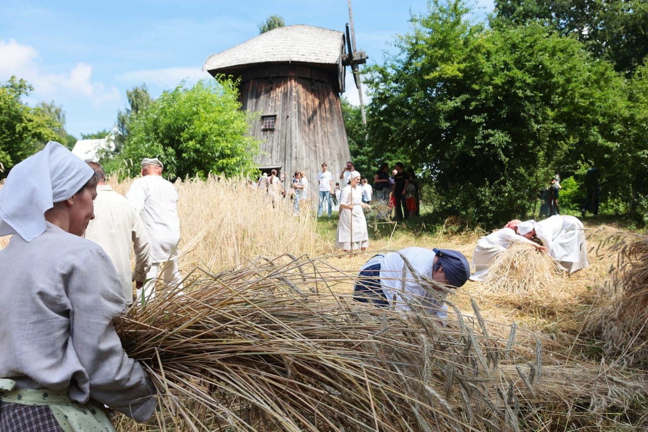 Żniwowanie w Muzeum Wsi Lubelskiej. Tradycyjne żniwa, młócka cepami i atrakcje dla rodzin
