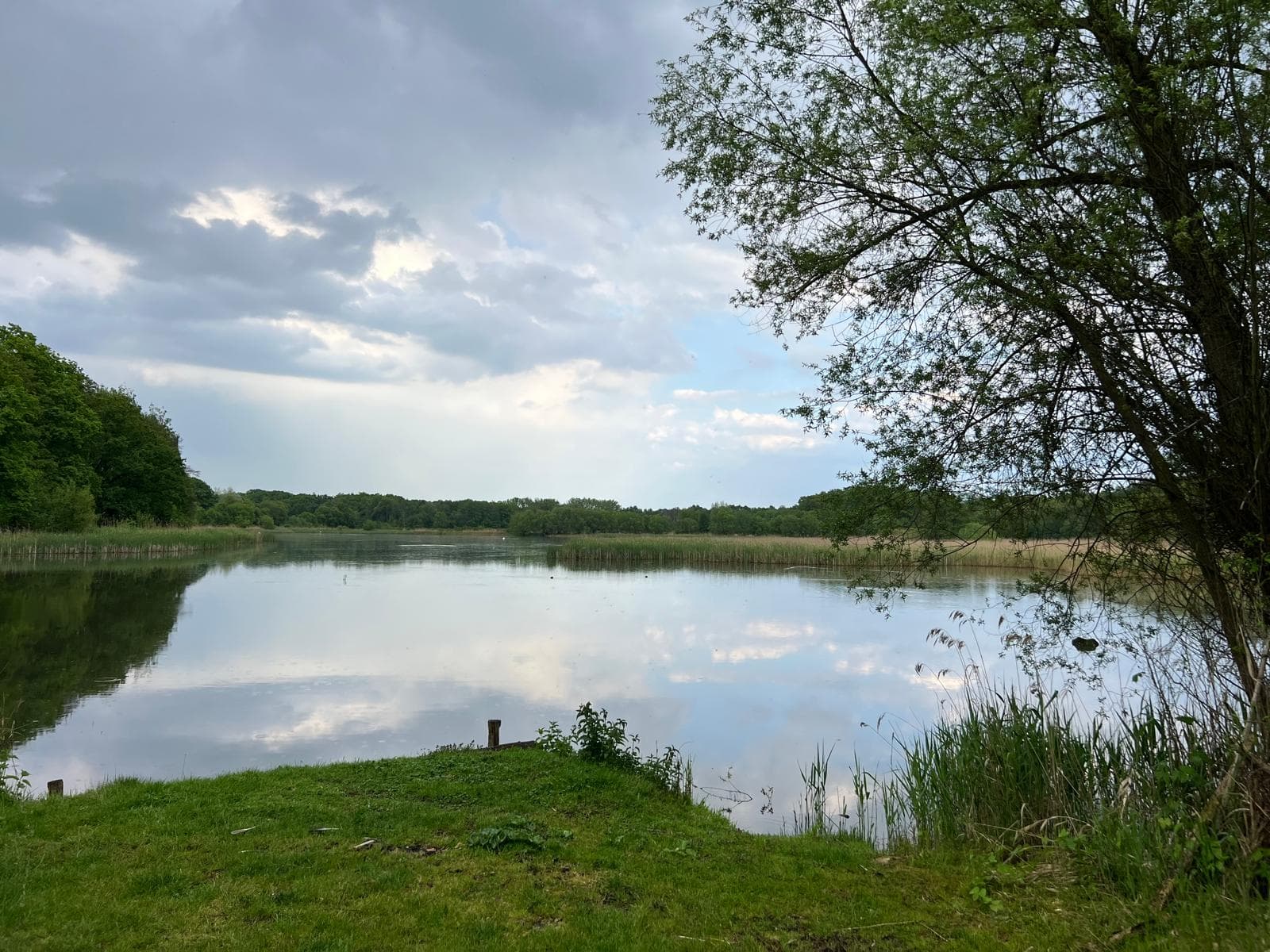 „Żukowskie Śnieżyce” nowym rezerwatem przyrody