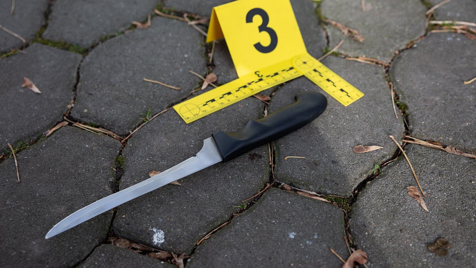 Holandia. 15-latka podejrzana o zabójstwo rodziców. Zdjęcia z miejsca zbrodni miała wysłać rówieśnikom