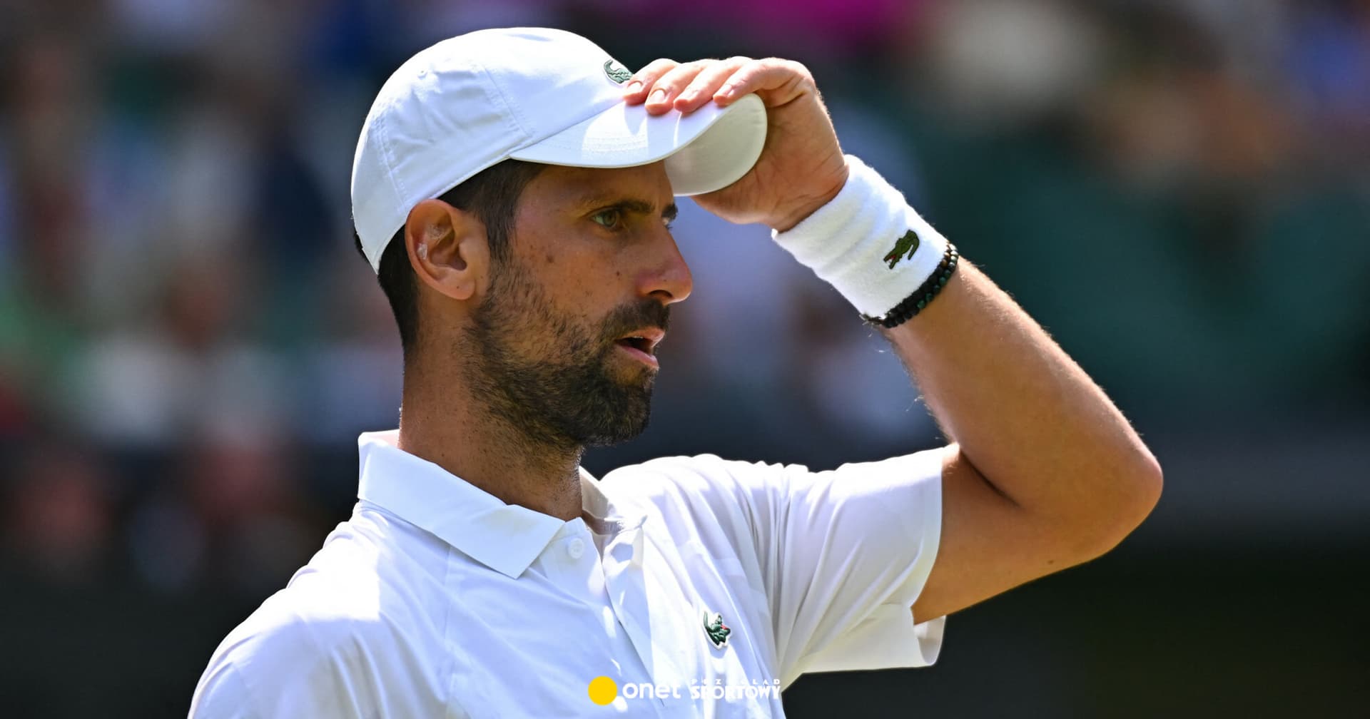 Felix Auger-Aliassime - Novak Djoković. Gdzie oglądać za darmo Wimbledon? (07.07.2026)