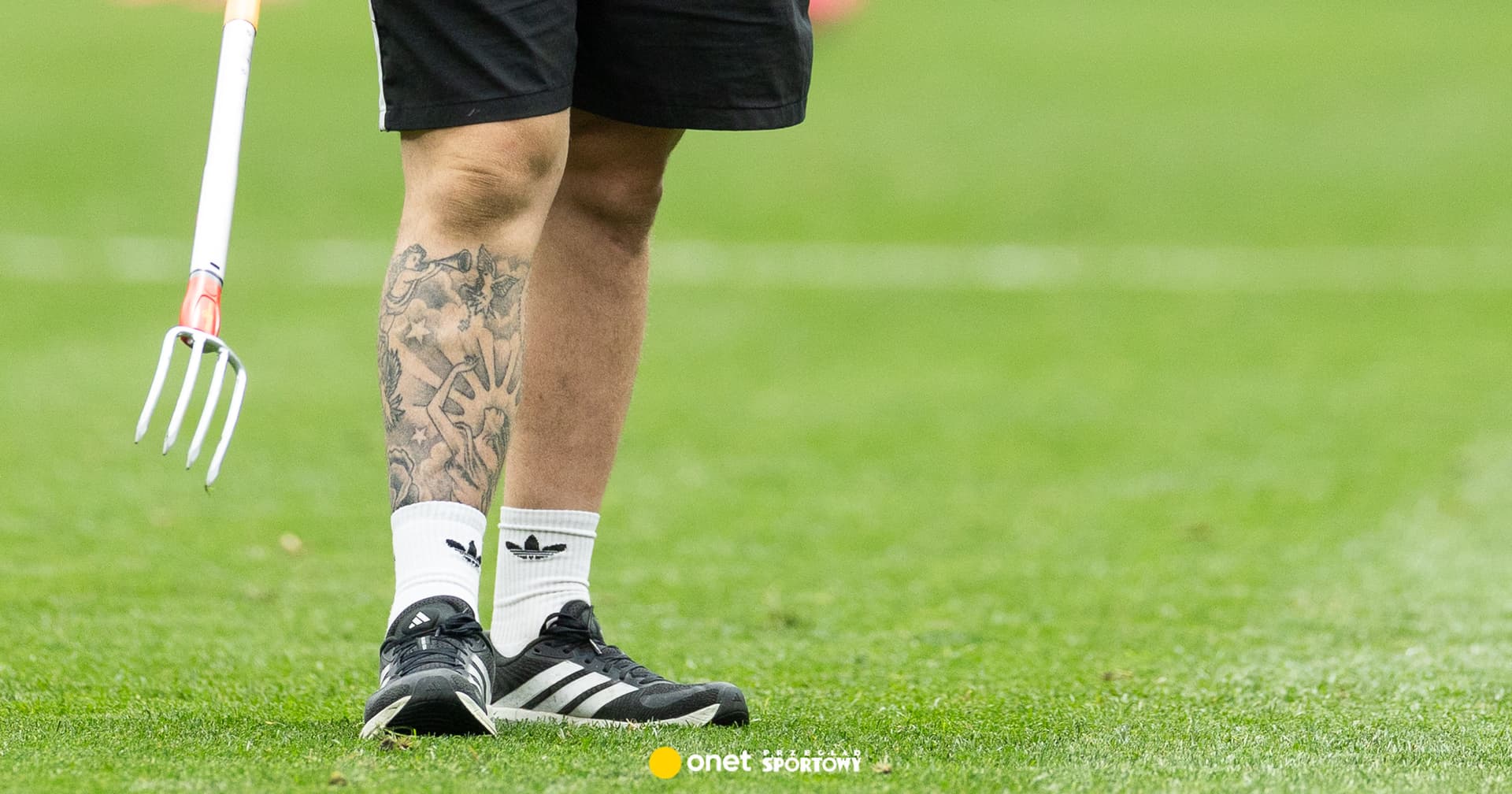 FIFA wystawia na sprzedaż murawę z MŚ. Tyle będzie kosztować