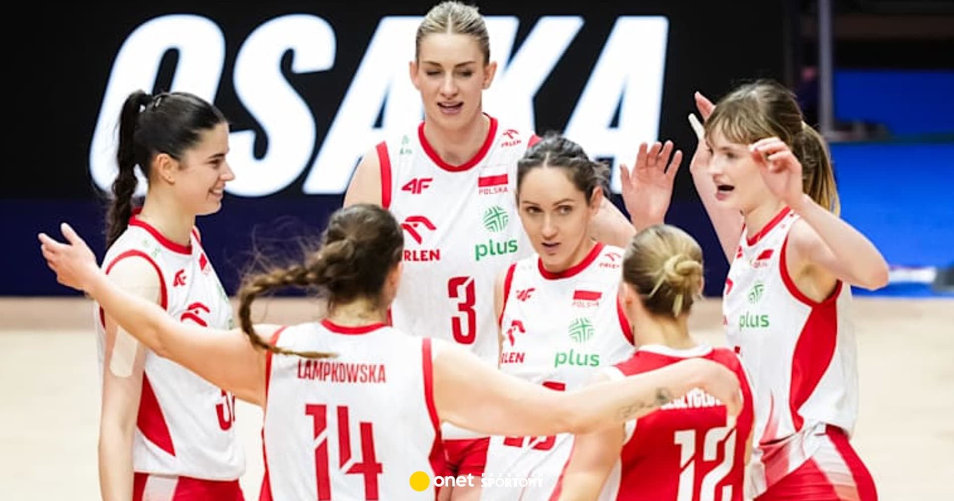 Liga Narodów. O której dziś mecz Polska - Brazylia? Transmisja na żywo