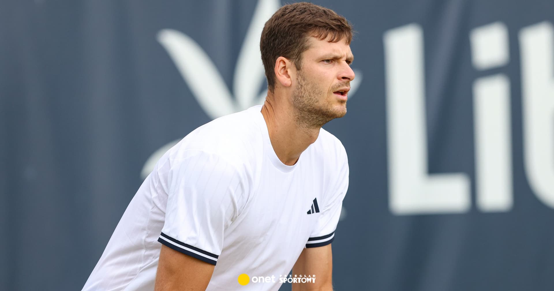 NA ŻYWO: Hurkacz - Ruud w Wimbledonie. Relacja i wynik live