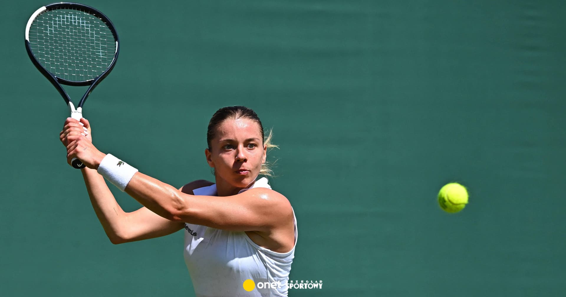 Polak zdradza nam tajniki Wimbledonu. "Byłby to najgorszy błąd"