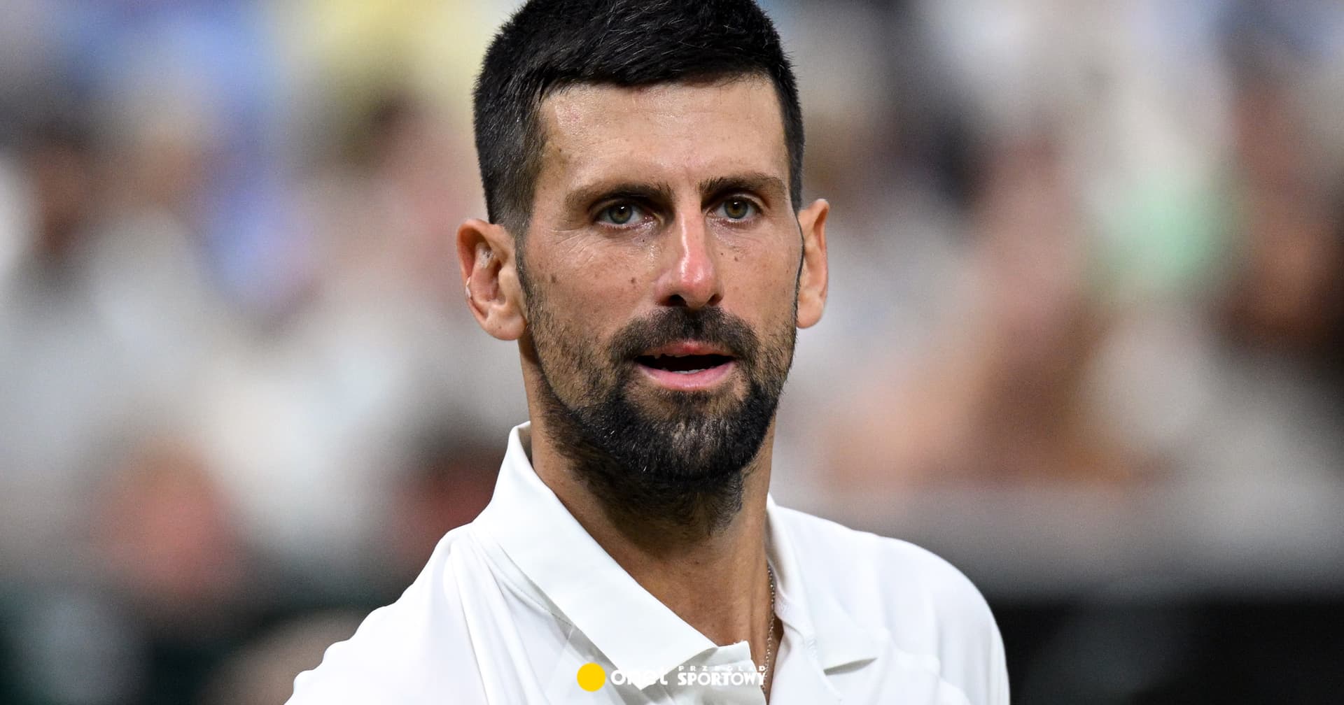 W to Novak Djoković zainwestował miliony euro zarobione na tenisie